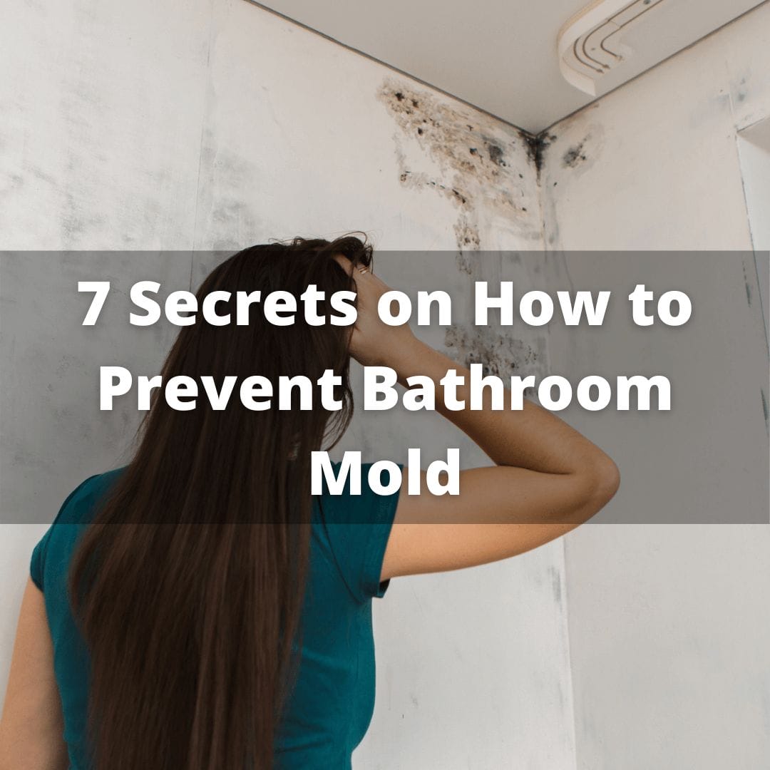 How to Prevent Bathroom Mold