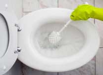 Toilet Bowl